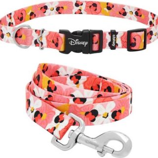 Disney Minnie Mouse Floral Collar + Dog Leash, Large