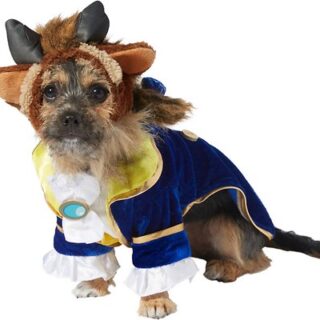 Rubie's Costume Company Beauty & The Beast Dog Costume, Small