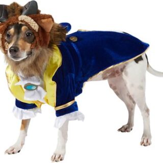 Rubie's Costume Company Beauty & The Beast Dog Costume, Medium