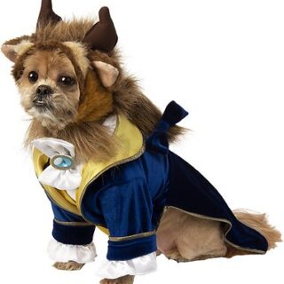 Rubie's Costume Company Beauty & The Beast Dog Costume, X-Large