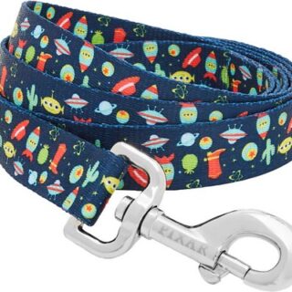 Pixar Toy Story Dog Leash, LG - Length: 6-ft, Width: 1-in