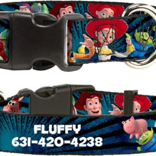 Buckle-Down Polyester Personalized Dog Collar, Disney Toy Story, Small