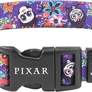 Pixar Coco Dog Collar, SM