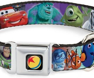 Buckle-Down Disney Pixar Polyester Dog Collar, Small: 9 to 15-in neck, 1-in wide