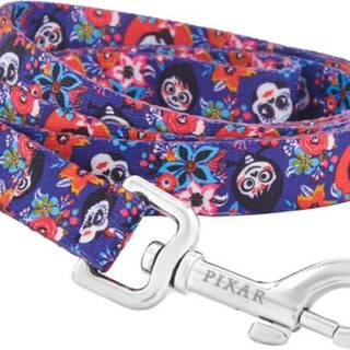 Pixar Coco Dog Leash, SM