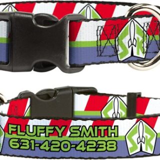 Buckle-Down Disney Toy Story Buzz Lightyear Space Ranger Logo Personalized Dog Collar, Large