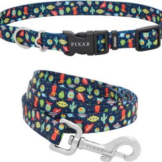 Pixar Toy Story Collar + Dog Leash, Medium