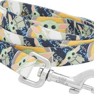 STAR WARS THE MANDALORIAN'S THE CHILD Dog Leash, MD - Length: 6-ft, Width: 3/4-in