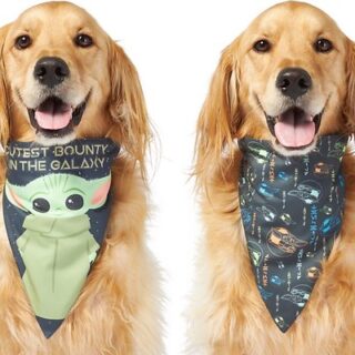 STAR WARS THE MANDALORIAN'S THE CHILD "Cutest Bounty" Reversible Dog and Cat Bandana, Medium/Large