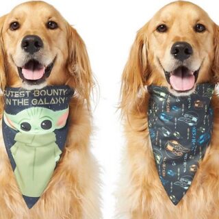 STAR WARS THE MANDALORIAN'S THE CHILD "Cutest Bounty" Reversible Bandana, X-Small/Small + "Left Unsupervised" Dog & Cat T-Shirt, X-LARGE