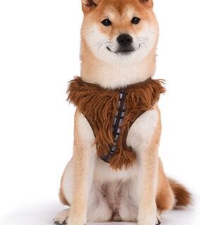 Fetch For Pets Star Wars Chewbacca Basic Dog Harness, Small: 13.75 to 17.75-in chest