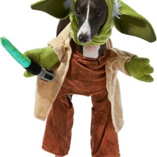 Rubie's Costume Company Walking Yoda & Lightsaber Dog Costume, Medium