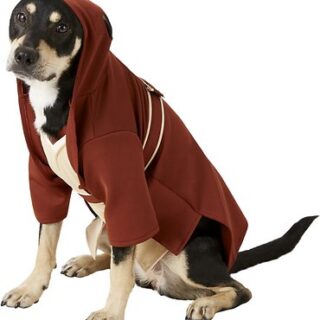 Rubie's Costume Company Jedi Robe Dog & Cat Costume, Large