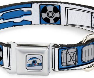 Buckle-Down Star Wars R2-D2 Polyester Seatbelt Buckle Dog Collar, Small: 9 to 15-in neck, 1-in wide