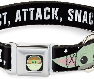 Buckle-Down Star Wars Baby Yoda the Child Chibi Face Protect Attack Polyester Dog Collar, Small: 9 to 15-in neck, 1-in wide