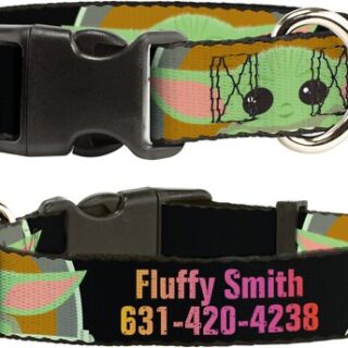 Buckle-Down Star Wars The Child This is the Way Polyester Personalized Dog Collar, Medium