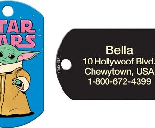 Quick-Tag Star Wars The Mandalorian's The Child Baby Yoda Military Personalized Dog & Cat ID Tag