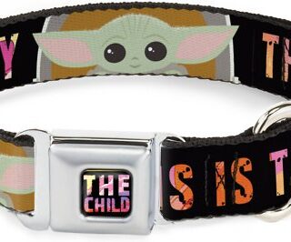 Buckle-Down Star Wars the Child Chibi Pod Pose Polyester Dog Collar, Small: 9.5 to 13-in neck, 1-in wide