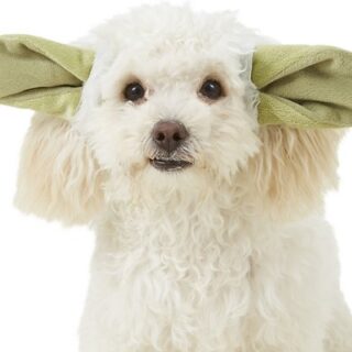 Yoda Ears Dog and Cat Costume, Small and Medium