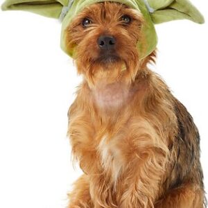 Costume Yoda Ears Cat Costume