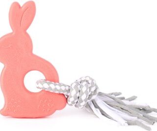 ZippyPaws Bonnie the Bunny Teetherz Dog Toy