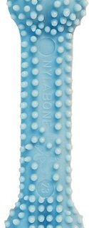 Nylabone Puppy Petite Dental Puppy Chew Toy, Blue