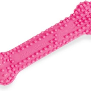 Nylabone Puppy Petite Dental Puppy Chew Toy, Pink