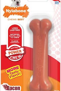 Nylabone DuraChew Power Chew Bacon Flavored Dog Chew Toy, Small