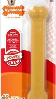 Nylabone DuraChew Peanut Butter Flavored Dog Chew Toy, Giant