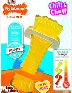 Nylabone Puppy Chew Freezer Lamb & Apple Flavored Puppy Chew Toy, Mini