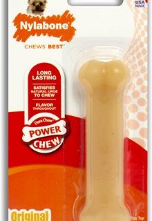 Nylabone DuraChew Original Flavored Dog Chew Toy, X-Small