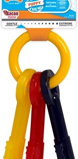 Nylabone Teething Keys Puppy Chew Toy, Large