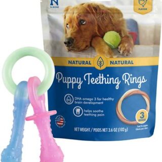 Nylabone Teething Pacifier Puppy Chew Toy + N-Bone Puppy Teething Ring Chicken Flavor Dog Treats