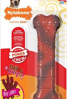 Nylabone DuraChew Power Chew Beef Jerky Flavored Dog Chew Toy, Medium