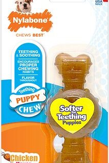 Nylabone Puppy Chew Ring Chicken Flavored Puppy Chew Toy, X-Small