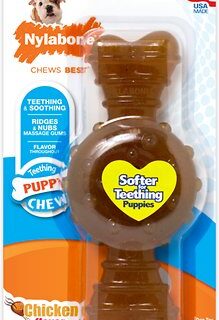 Nylabone Puppy Chew Ring Chicken Flavored Puppy Chew Toy, Medium