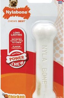 Nylabone DuraChew Chicken Flavored Dog Chew Toy, X-Small