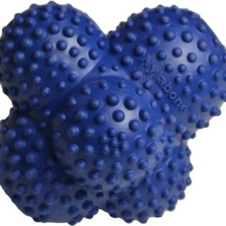 Nylabone Power Play Crazy Ball Dog Toy