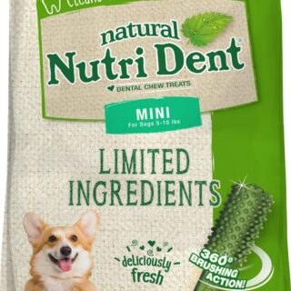 Nylabone Nutri Dent Limited Ingredients Fresh Breath Natural Mini Dental Dog Treats, 32 count, 160g