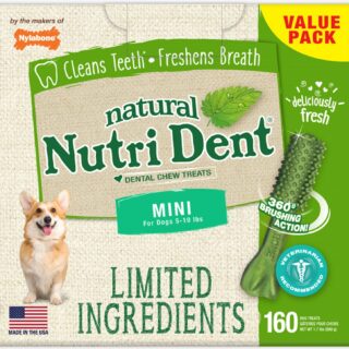 Nylabone Nutri Dent Limited Ingredients Fresh Breath Natural Mini Dental Dog Treats, 160 count