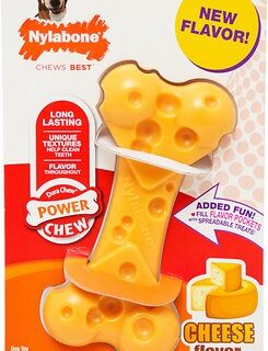 Nylabone DuraChew Cheese Flavored Dog Chew Toy, Medium