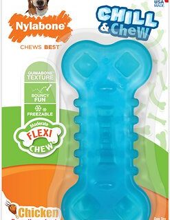 Nylabone Chill & Chew Freezer Chicken Flavored Dog Chew Toy