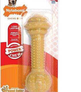 Nylabone DuraChew Barbell Peanut Butter Flavored Dog Chew Toy, Medium/Large