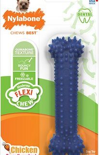 Nylabone Dental Chew Bone Chicken Flavored Dog Chew Toy, X-Small