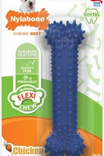 Nylabone Dental Chew Bone Chicken Flavored Dog Chew Toy, Small