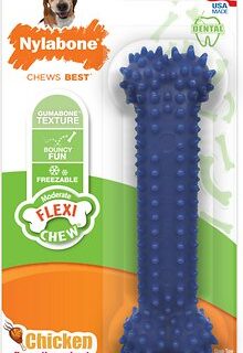 Nylabone Dental Chew Bone Chicken Flavored Dog Chew Toy, Medium