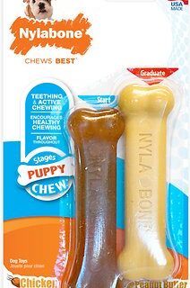 Nylabone Puppy Petite Twin Pack Puppy Chew Toy