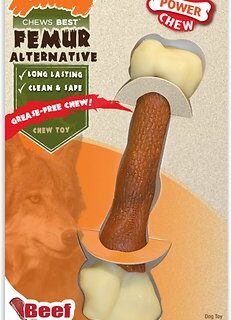 Nylabone DuraChew Femur Bone Alternative Beef Flavored Dog Chew Toy, Souper