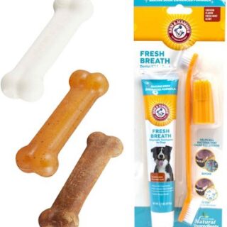 Nylabone Puppy Chew Starter Kit Triple Pack Chew Toy + Arm & Hammer Dental Fresh Breath Enzymatic Dog Toothpaste & Brush Kit