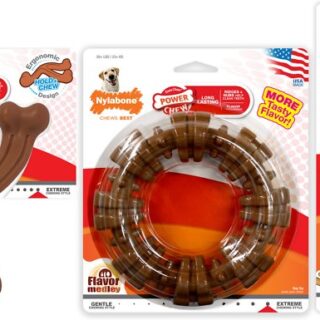 Nylabone Power Chew Customer Favorites Bison, Peanut Butter & Bacon Flavored Dog Chew Toy, 3 count